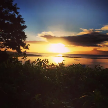 Mcloughlins Of Penzion