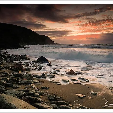 Mcloughlins Of Penzion