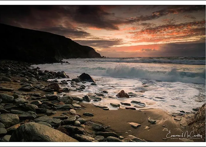 Mcloughlins Of Guest house